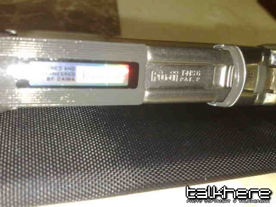 20100303926.jpg