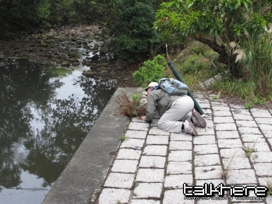 1003141852caabc0136c5da040.jpg