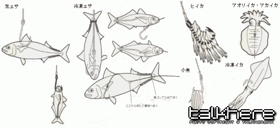 餌用の.gif