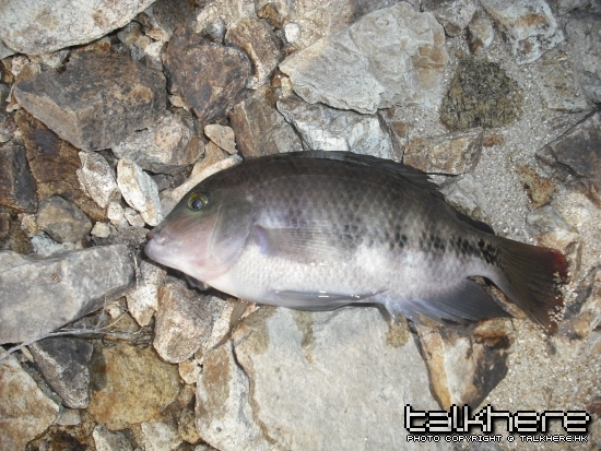 DSCF3054.JPG