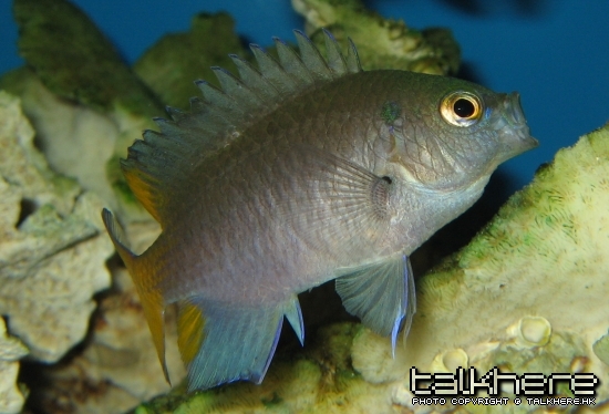 照片07 028.jpg
