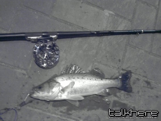 P220310_22.47.jpg