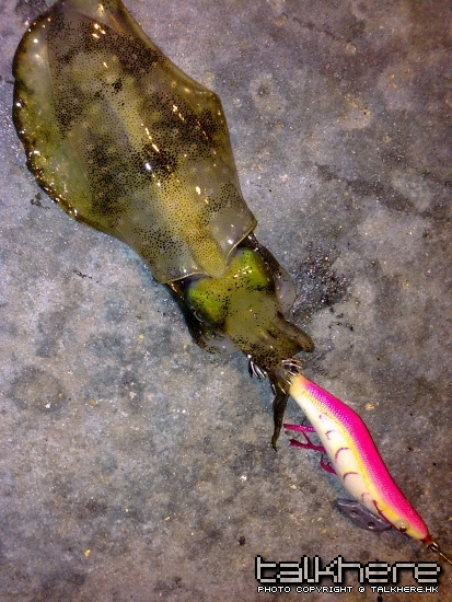 20100323060.jpg