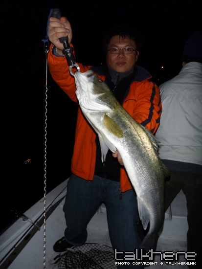 bass1.jpg