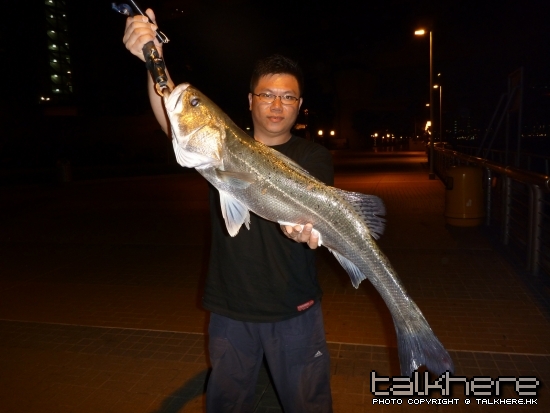 seabass3.jpg