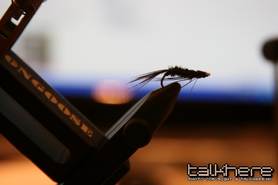 IMG_7208.JPG