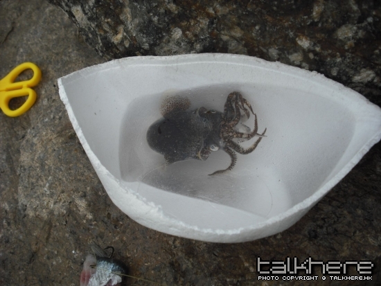 好鬼得意