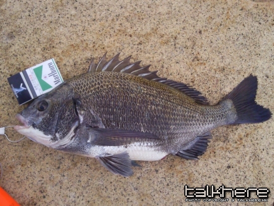 相片0089 - 複製.jpg