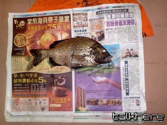 20090709059.jpg