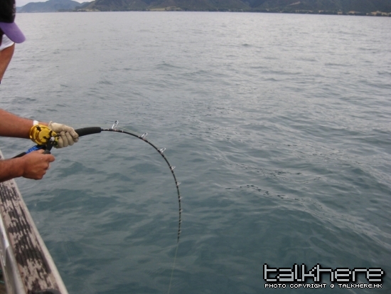 jigrods 020.jpg