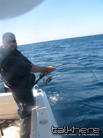 catch1.jpg