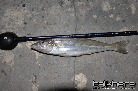 DSC_0061_2.jpg