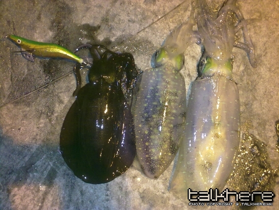 20100331090.jpg