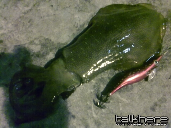 20100331085.jpg