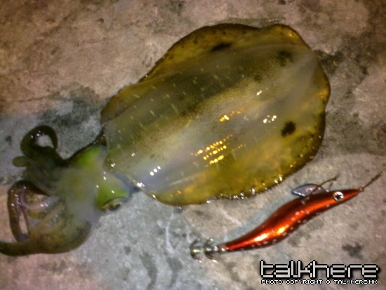20100331084.jpg