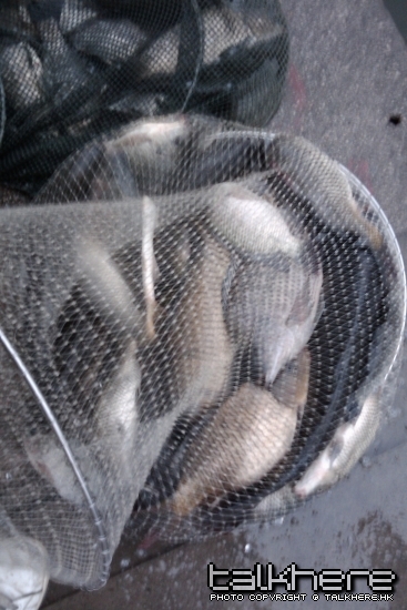 IMAG0081.jpg