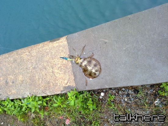 20100404003.jpg