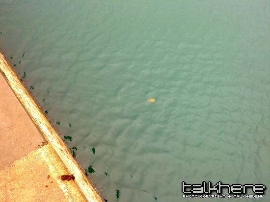 20100404002.jpg