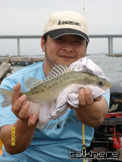 ALIM0291.JPG