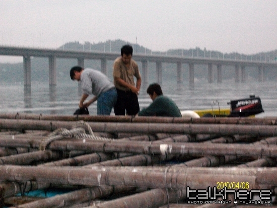 ALIM0302.JPG