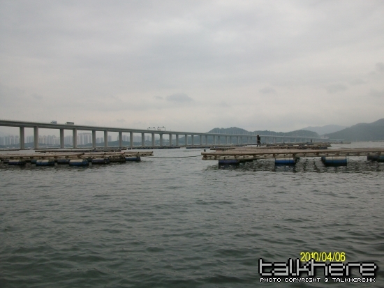 ALIM0294.JPG