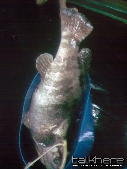 照片 154.jpg