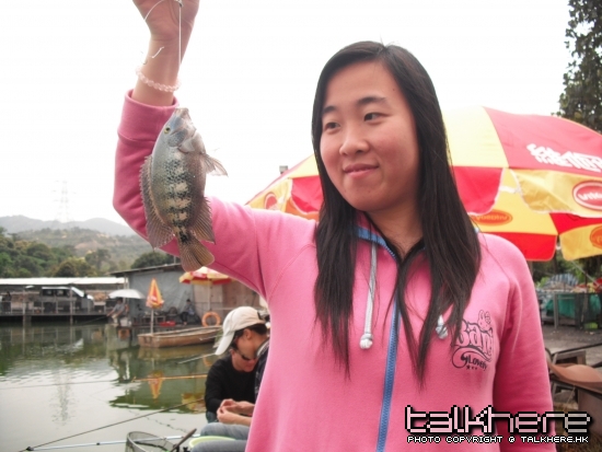 DSCF6478.jpg