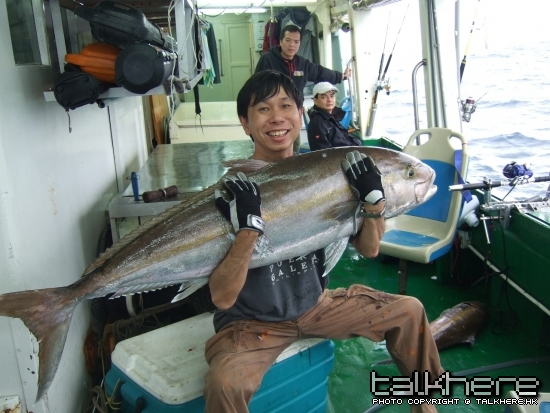Amberjack 1.jpg