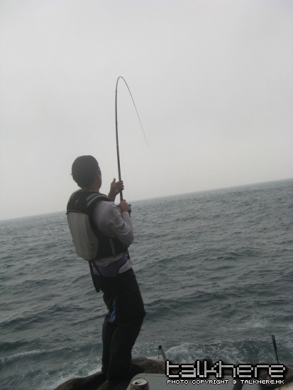 IMG_4452.JPG