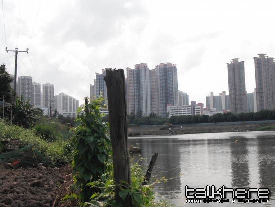 DSCF6567.jpg