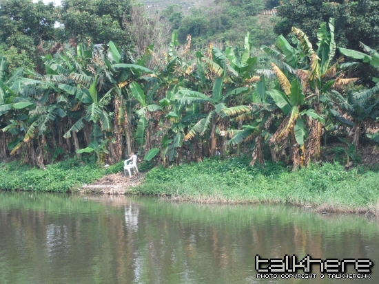 DSCF6586.jpg