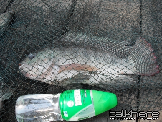 DSCF6588.jpg