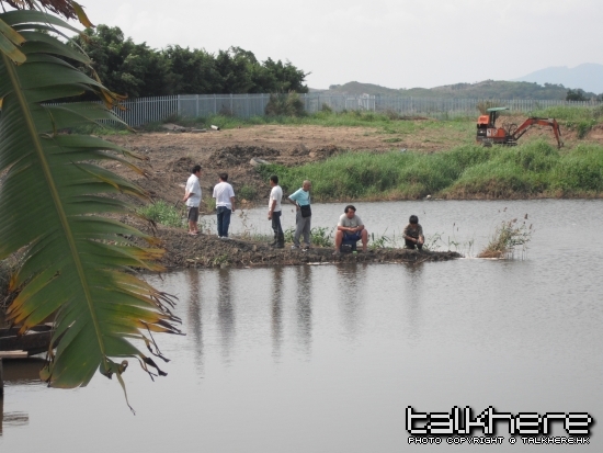 DSCF6581.jpg