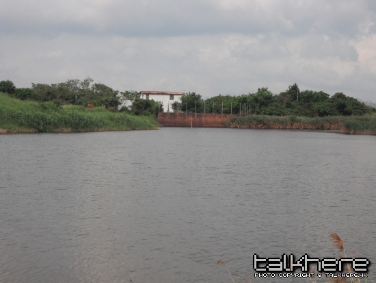 DSCF6583.jpg