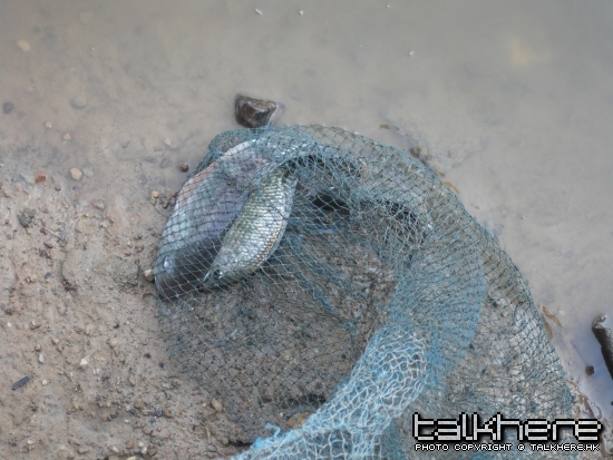 DSCF6570.jpg