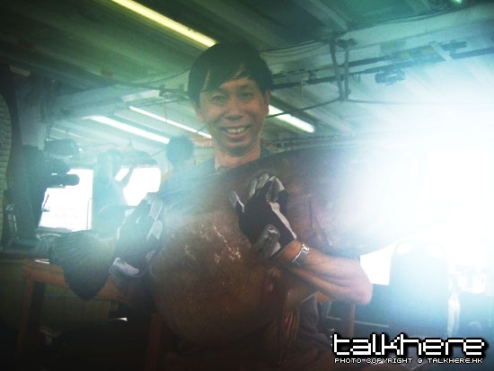 Grouper 1.jpg