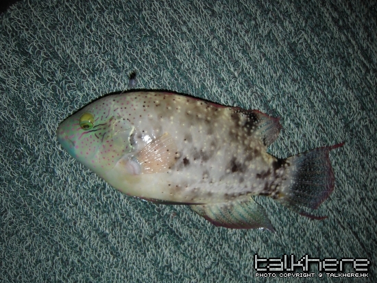 DSCN0903.JPG
