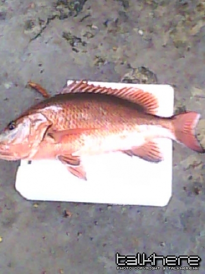 DSC_0000047.jpg