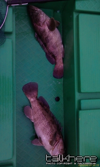 IMAG0082.jpg