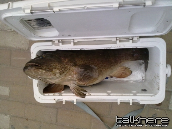 21042010342.jpg