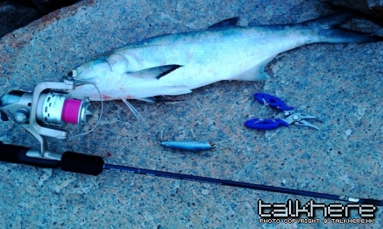 第一次POST相,海水沸鰧時鈎獲馬友仔