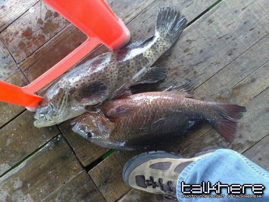 20100324045.jpg