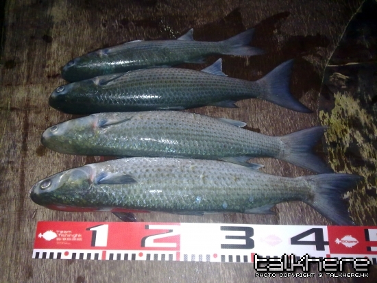 20100503014.jpg