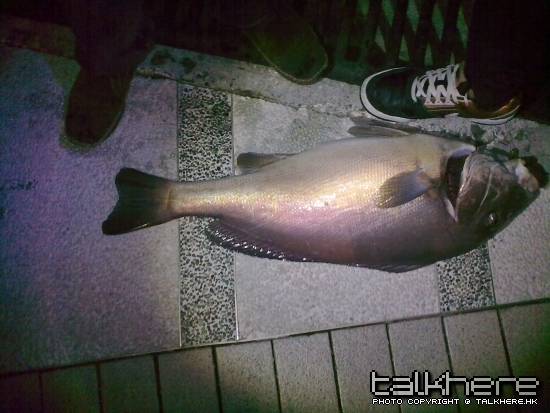 20100505191.jpg