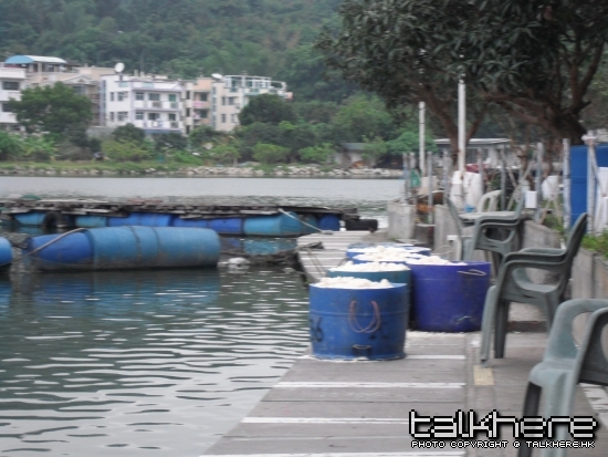 照片 119.jpg