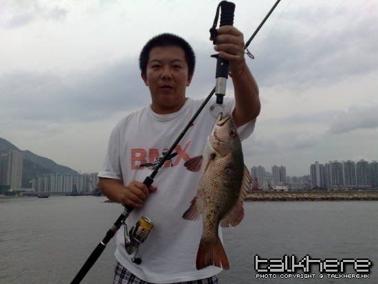 20100509479.jpg
