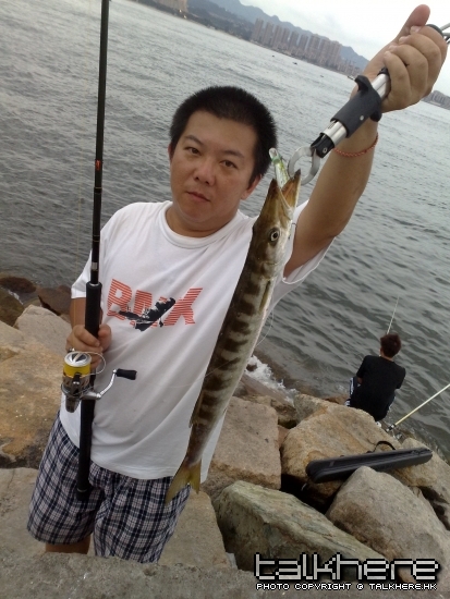 20100509482.jpg
