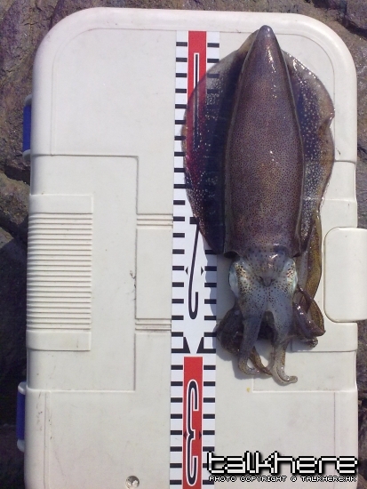 20100509434.jpg