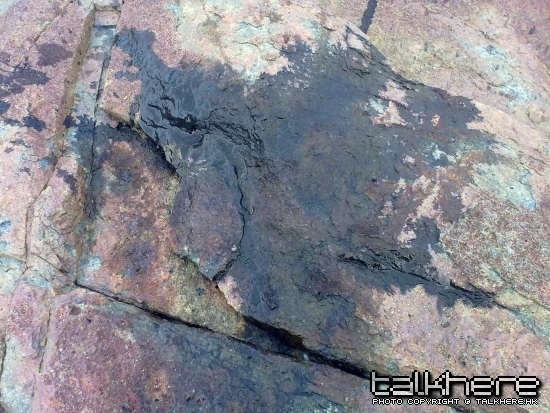 20100509435.jpg