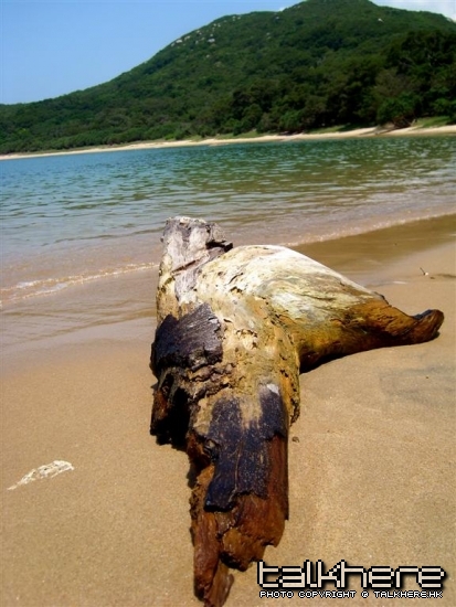 SL270880.JPG